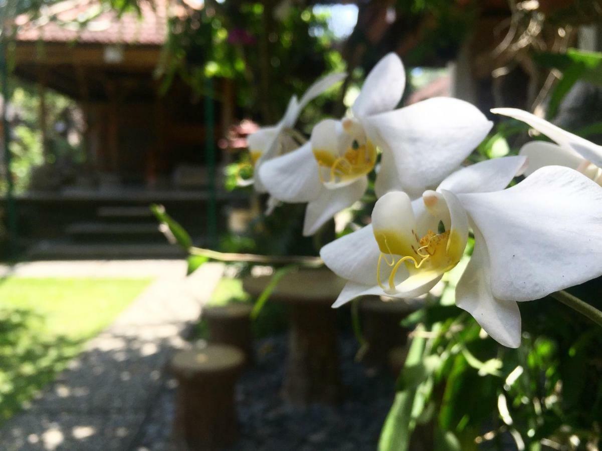 Tungeh Inn Ubud  Exterior photo